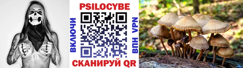 Галлюциногенные грибы Psilocybe Нягань