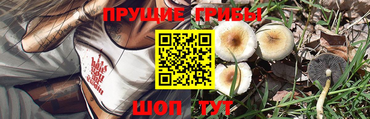 Псилоцибиновые грибы мицелий  Псилоцибиновые грибы Psilocybe  Вход с VPN  Нягань 