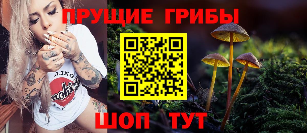 Галлюциногенные грибы Psilocybine cubensis Нягань